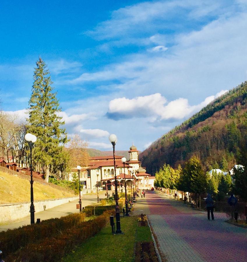Apartament Veverite Slănic-Moldova エクステリア 写真