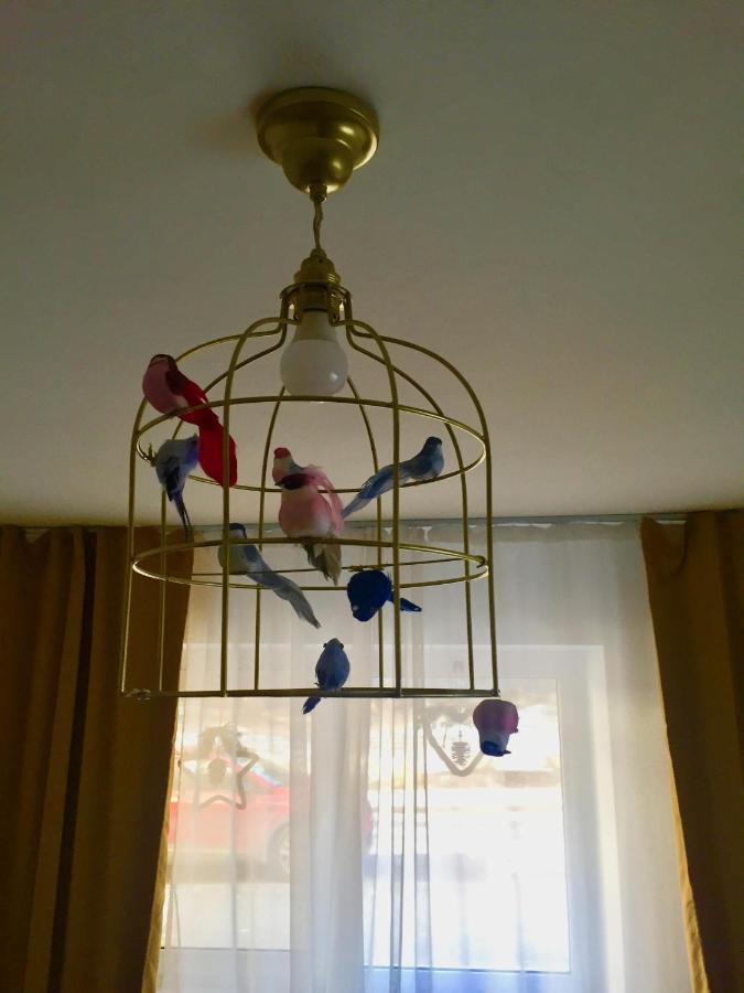 Apartament Veverite Slănic-Moldova エクステリア 写真